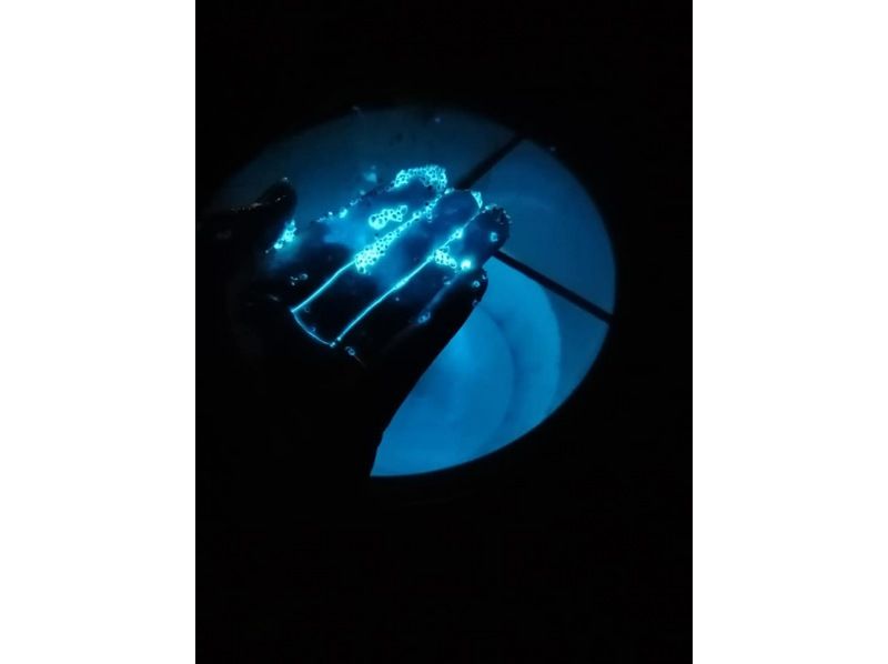 【兵庫・新温泉町】幻想的な青い光！ウミホタル観察会の紹介画像
