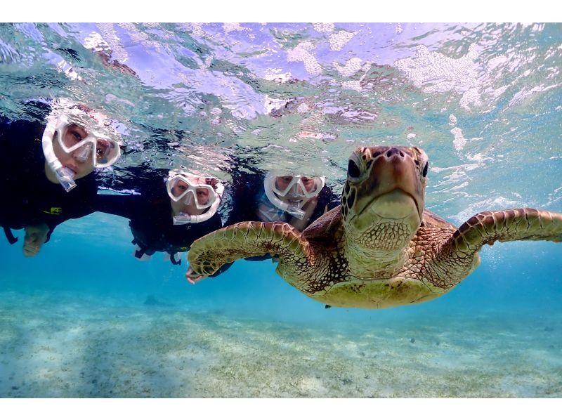 [Miyakojima] One group only, sea turtle snorkel photo tour with drone.