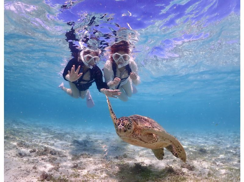 [Miyakojima] One group only, sea turtle snorkel photo tour with drone.