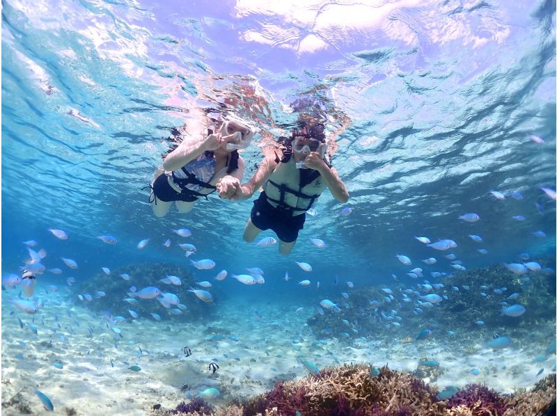 [Miyakojima] One group only, sea turtle snorkel photo tour with drone.