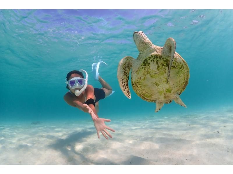 Miyakojima, 2 hours, private tour [Limited to one group! Sea turtle snorkel photo tour] Encounter rate 100% ★ Equipment rental & free photos {High quality photography}の紹介画像