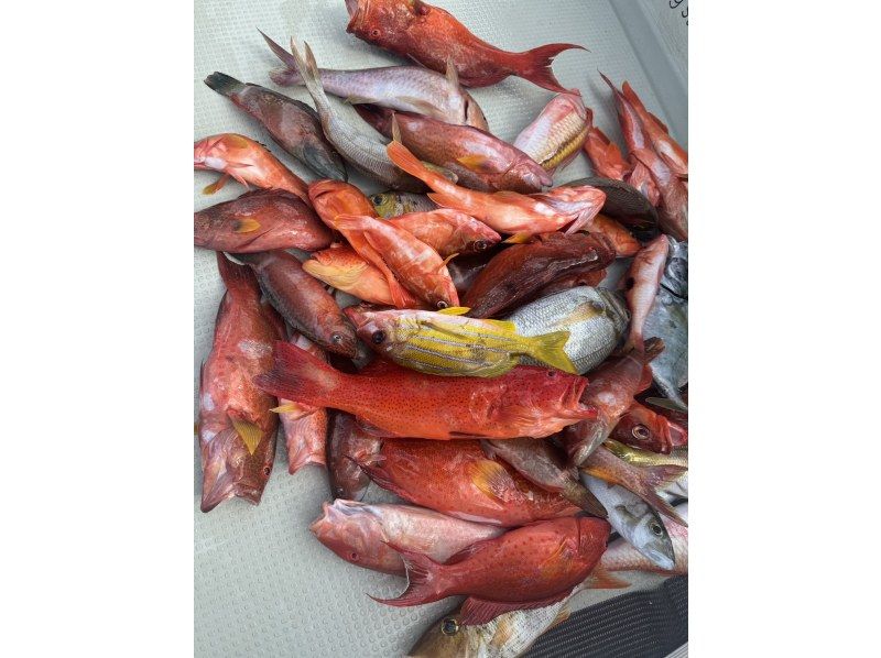 Super light jigging course⭐︎You can participate even if you bring nothing! Beginners welcome ⭐︎の紹介画像