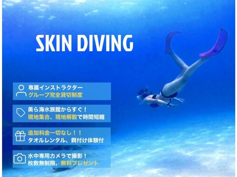 貸切プラン・初心者向け・スキンダイビング（素潜り）コース【写真・動画撮影無料☆餌付け体験付き】名護・北部・本部・やんばるの紹介画像