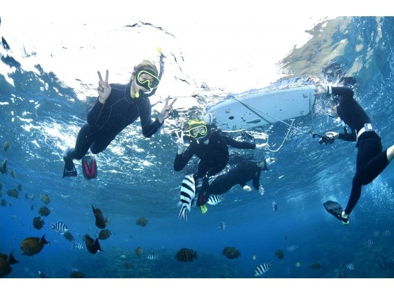 [Okinawa/Onna Village] Aono Cave Float (Funaba) free photo & video footage and fish experienceの紹介画像