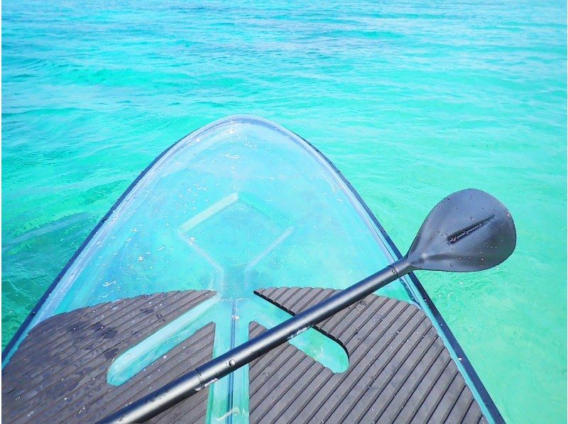 SALE！【沖縄・石垣島 プライベートビーチで行う貸切ツアー】シュノーケリング or クリアサップ（SUP）お選びください♪の紹介画像