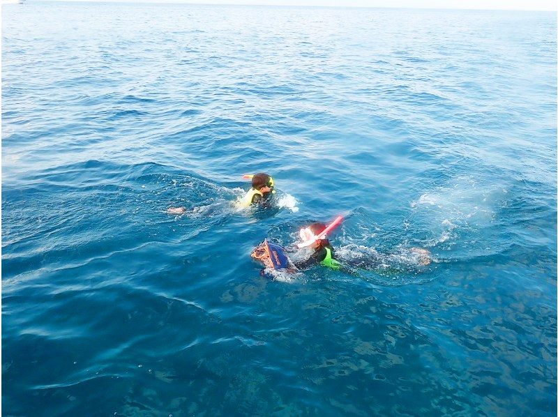 SALE！【沖縄・石垣島 プライベートビーチで行う貸切ツアー】シュノーケリング or クリアサップ（SUP）お選びください♪の紹介画像