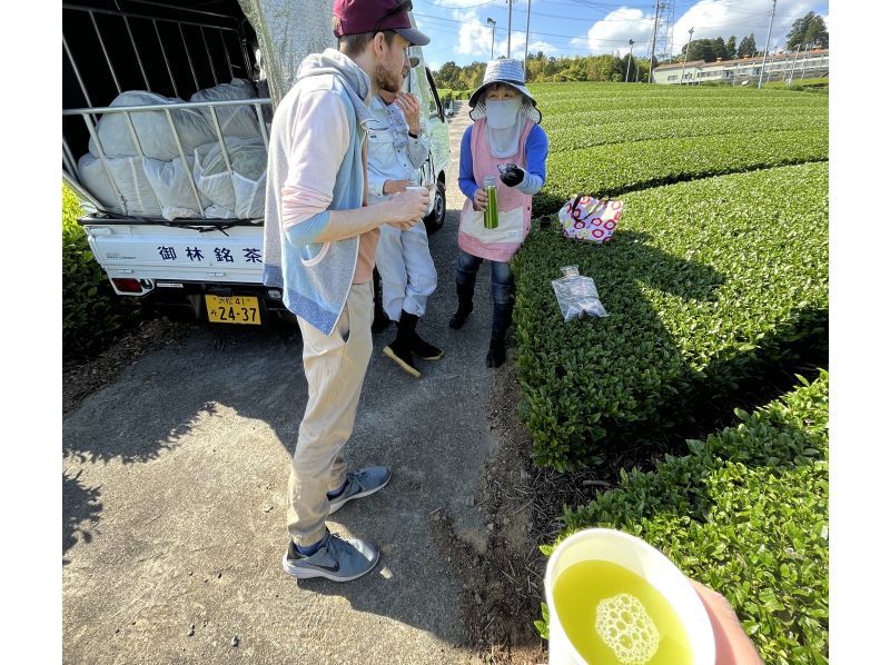 [Shizuoka/Kakegawa] ~ Tea time where you can enjoy interacting with tea farmers ~ Tea party with tea plantation walk and sencha in tea plantationの紹介画像