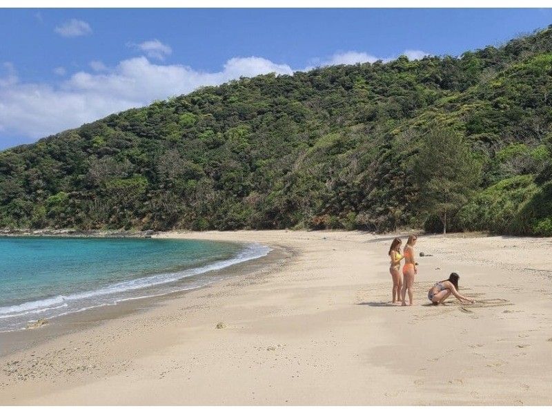 《D Plan》【Amami Oshima・Snorkeling】 Landing on Kotori Beach, which can only be reached by boat + boat snorkeling!の紹介画像