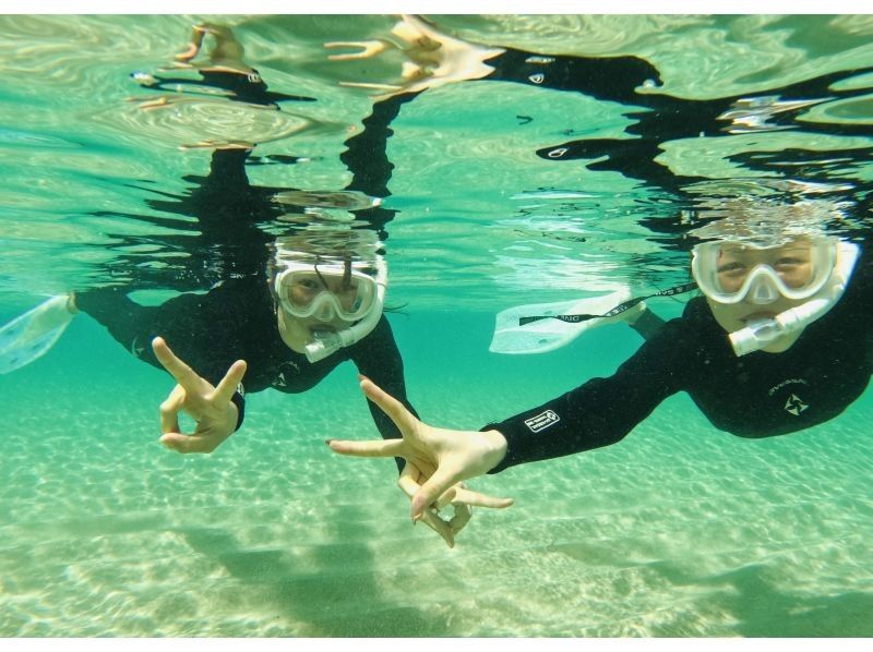 《D Plan》【Amami Oshima・Snorkeling】 Landing on Kotori Beach, which can only be reached by boat + boat snorkeling!の紹介画像