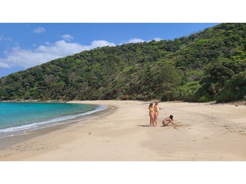 《D Plan》【Amami Oshima・Snorkeling】 Landing on Kotori Beach, which can only be reached by boat + boat snorkeling!の紹介画像