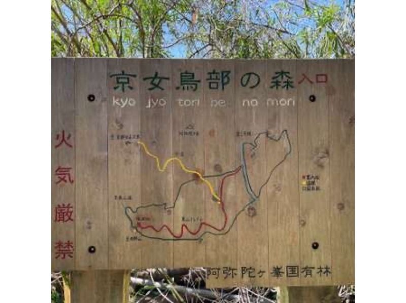 【京都・伏見】京都一周トレイル （東山＆北山：5分割） 伏見稲荷スタート！の紹介画像