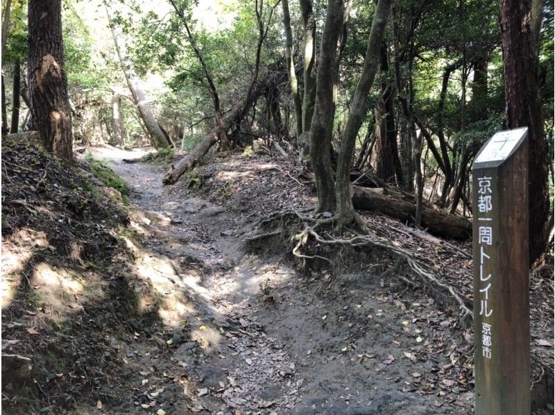 [京都/伏見]京都環行路線（東山和北山：5段）伏見稻荷開始！の紹介画像