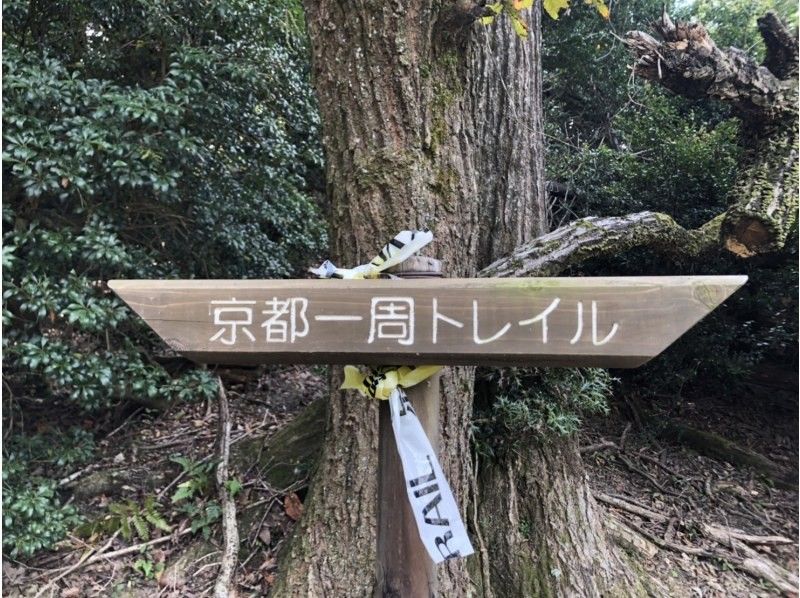 [Kyoto/Fushimi] Kyoto Round Trail (Higashiyama & Kitayama: 5 divisions) Fushimi Inari starts!の紹介画像