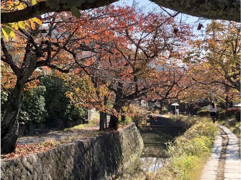 [京都/伏见]京都环行路线（东山和北山：5段）伏见稻荷开始！の紹介画像