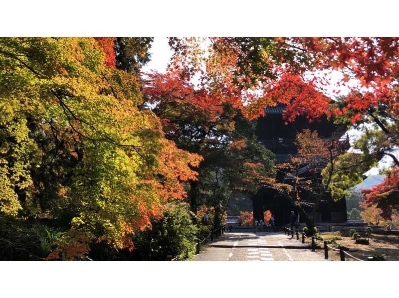 [Kyoto/Fushimi] Kyoto Round Trail (Higashiyama & Kitayama: 5 divisions) Fushimi Inari starts!の紹介画像