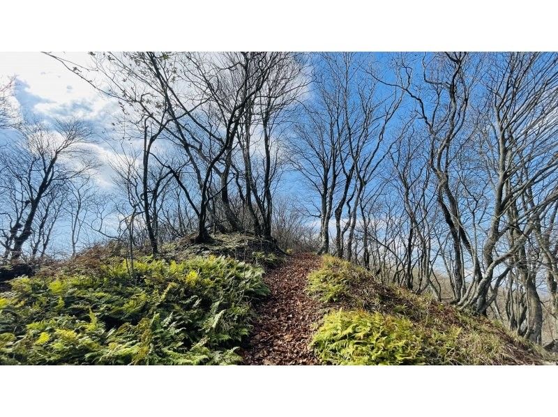 [Shiga/Kosai] First hike (perfect for mountain debut! Automated course)の紹介画像