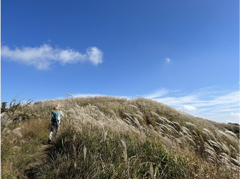 "Super Summer Sale 2024" Shiga/Koshi: First Hike (Perfect for your mountain debut! Our course)の紹介画像