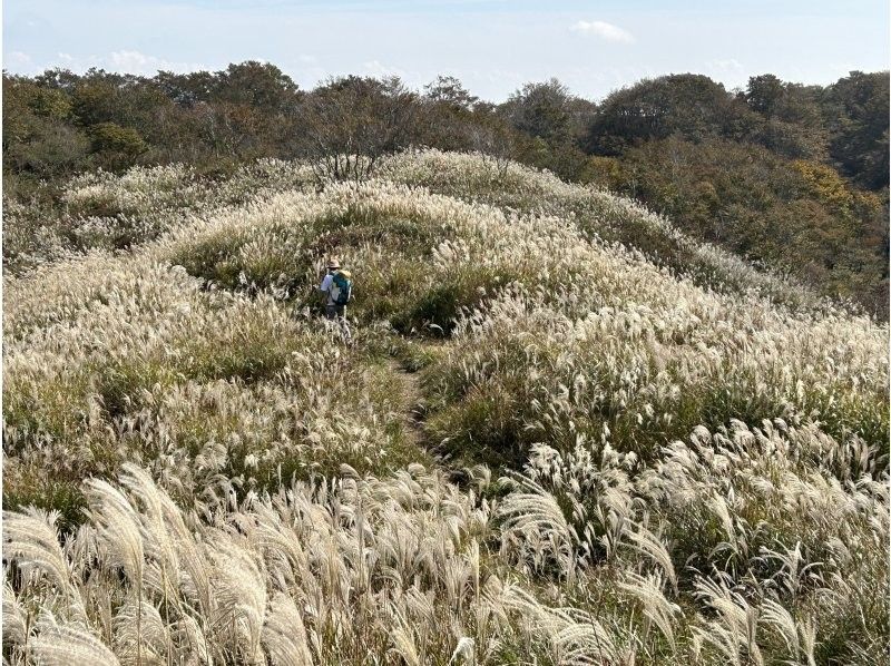 [Shiga/Kosai] First hike (perfect for mountain debut! Automated course)の紹介画像