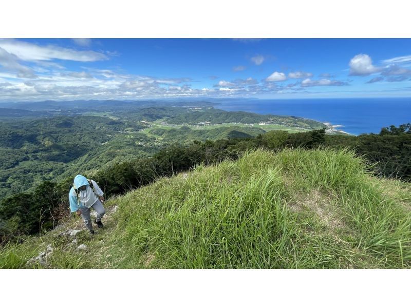 [滋賀/湖西]第一次健行（完美的登山首次亮相！自動路線）の紹介画像