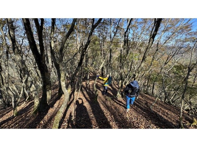 【滋賀・湖西】初めてのハイキング（山デビューに最適！おまかせコース）の紹介画像