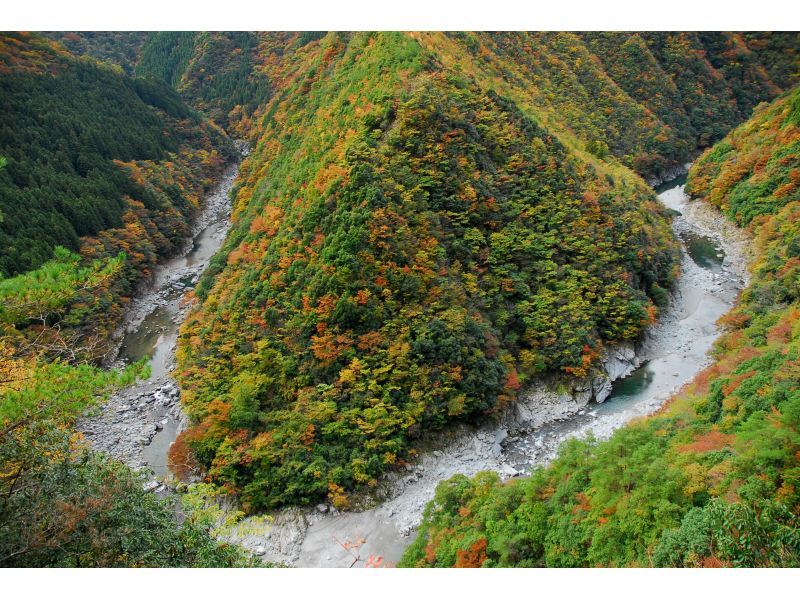 千年のかくれんぼ　秘境・奥祖谷タクシープラン：6時間コース【徳島・大歩危祖谷】の紹介画像