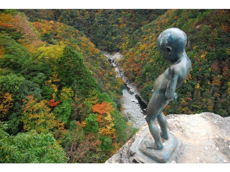 千年のかくれんぼ　秘境・奥祖谷タクシープラン：6時間コース【徳島・大歩危祖谷】の紹介画像