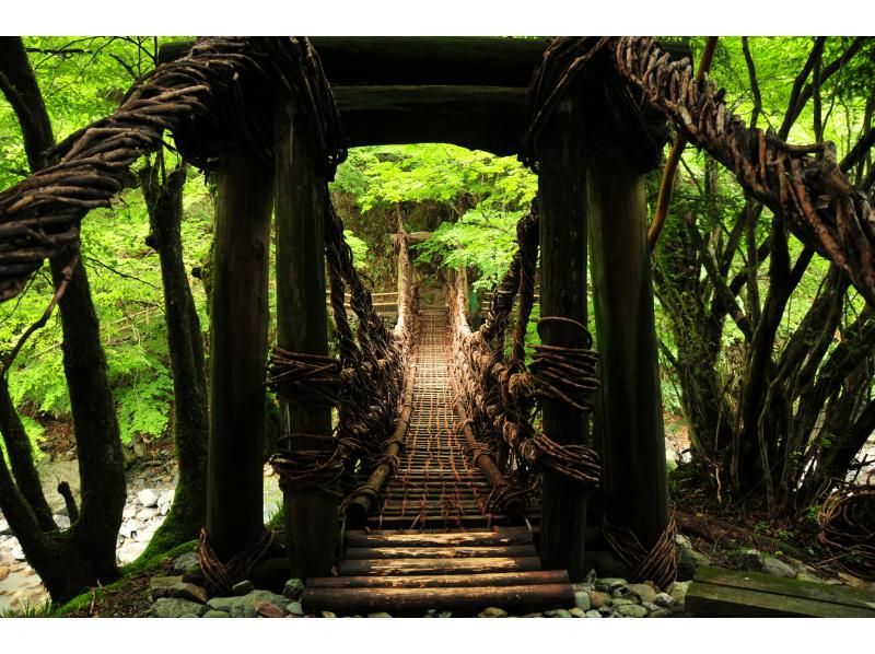 [Spring sale underway] [Tokushima/Oboke Iya] Thousand-year hide-and-seek hidden region Oku-Iya tour (6 hours course)の紹介画像