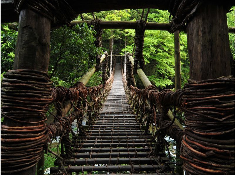 千年のかくれんぼ　秘境・奥祖谷タクシープラン：6時間コース【徳島・大歩危祖谷】の紹介画像