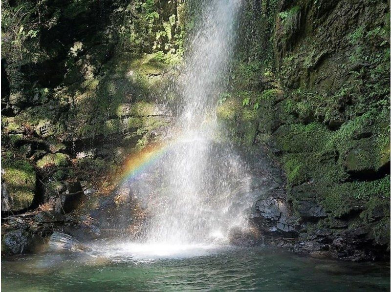 千年のかくれんぼ　秘境・奥祖谷タクシープラン：6時間コース【徳島・大歩危祖谷】の紹介画像