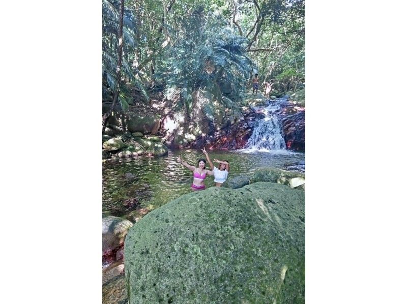 [ Tarzan at the waterfall! ] ☆ Cool down the heat at the cold waterfall! ☆ Maibara Plan Waterfall Play Course ☆の紹介画像