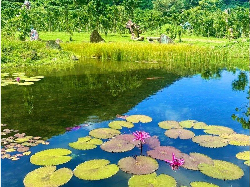 【 島の新パワースポット☆シーサー農園！】☆ヤシ記念館の入場券付き☆米原パワースポットプラン☆の紹介画像