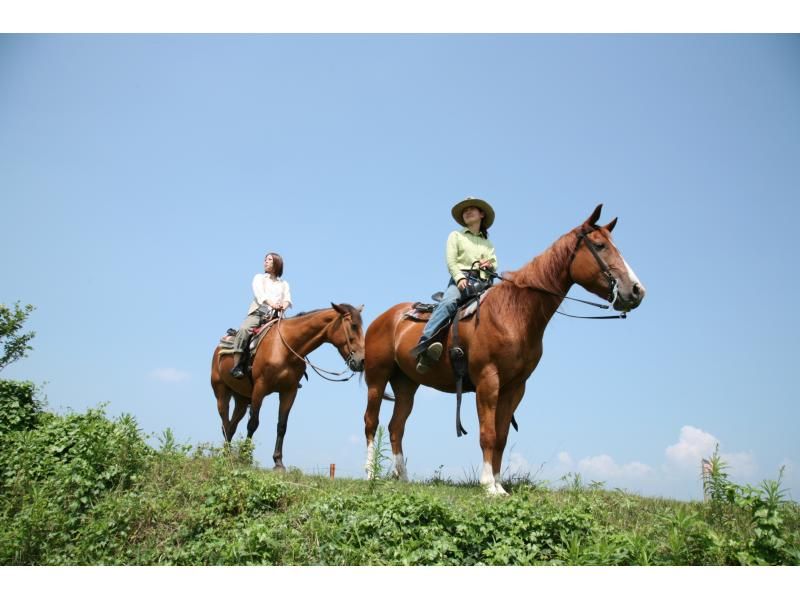 949 [阿蘇]騎馬體驗（騎馬健行：狂野西部路線）の紹介画像