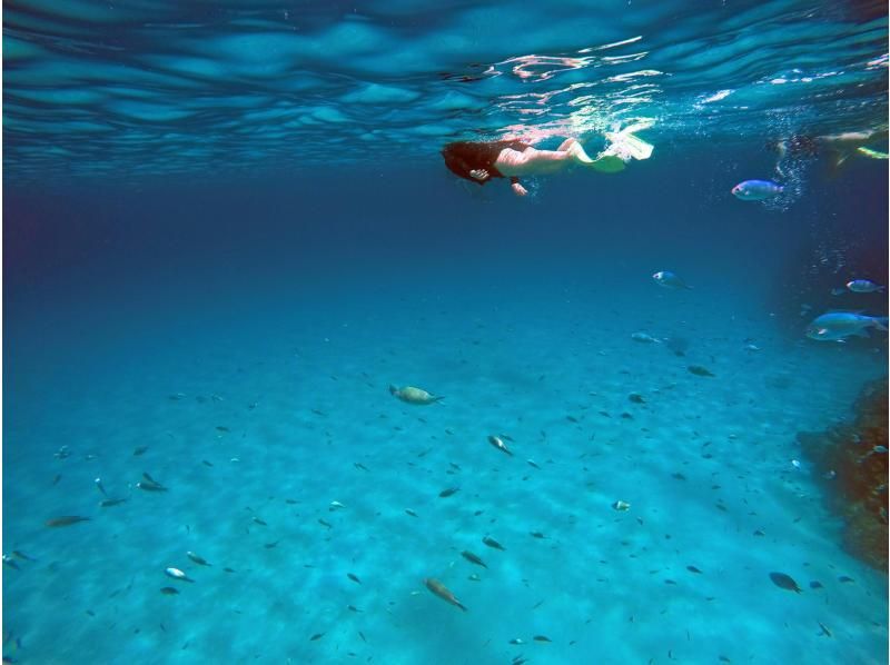 【那覇発／慶良間日帰り】チャータークルーザーで行く！慶良間諸島『渡嘉敷島』阿波連ビーチ海水浴ツアーの紹介画像