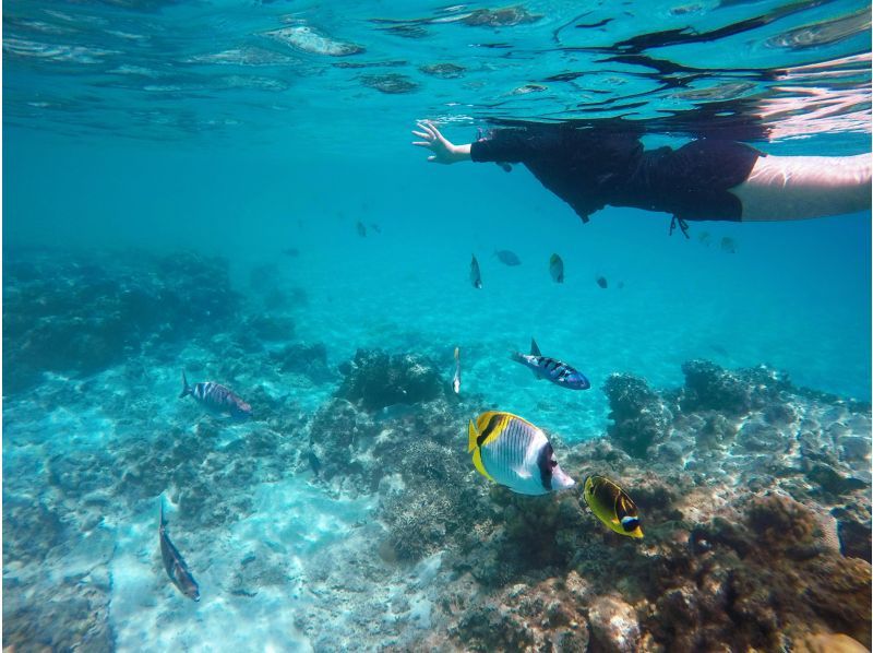【那覇発／慶良間日帰り】チャータークルーザーで行く！慶良間諸島『渡嘉敷島』阿波連ビーチ海水浴ツアーの紹介画像