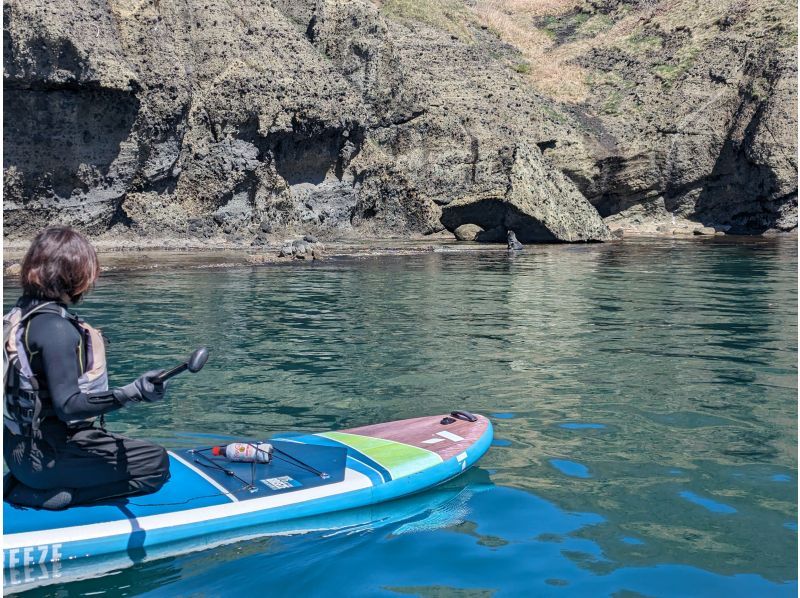 【北海道・小樽】｜透明度の高い海でサップツーリング｜サップクリニック付き｜の紹介画像