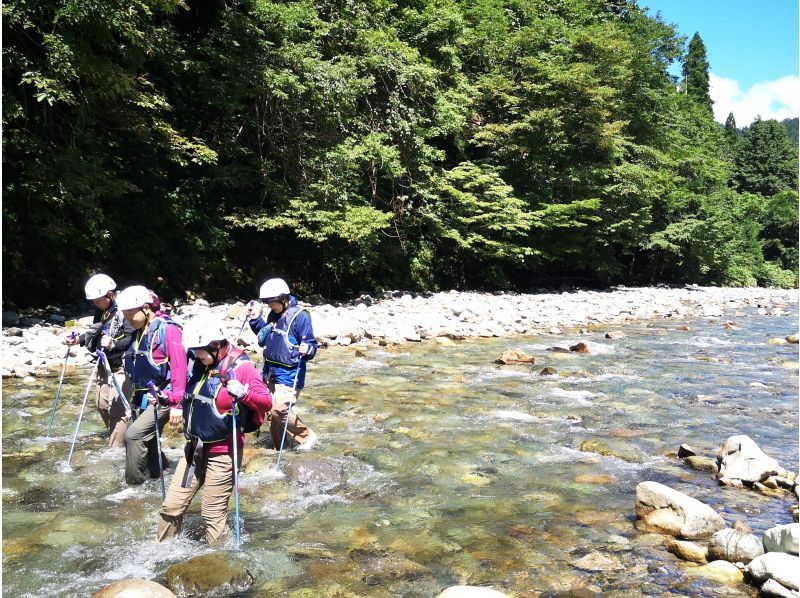 [Akita・Shirakami-Sanchi] Shirakami-Sanchi 1-day river trekking - A day of fun for adults and children alike in the clear stream ♪ For beginners <Free photo data>の紹介画像