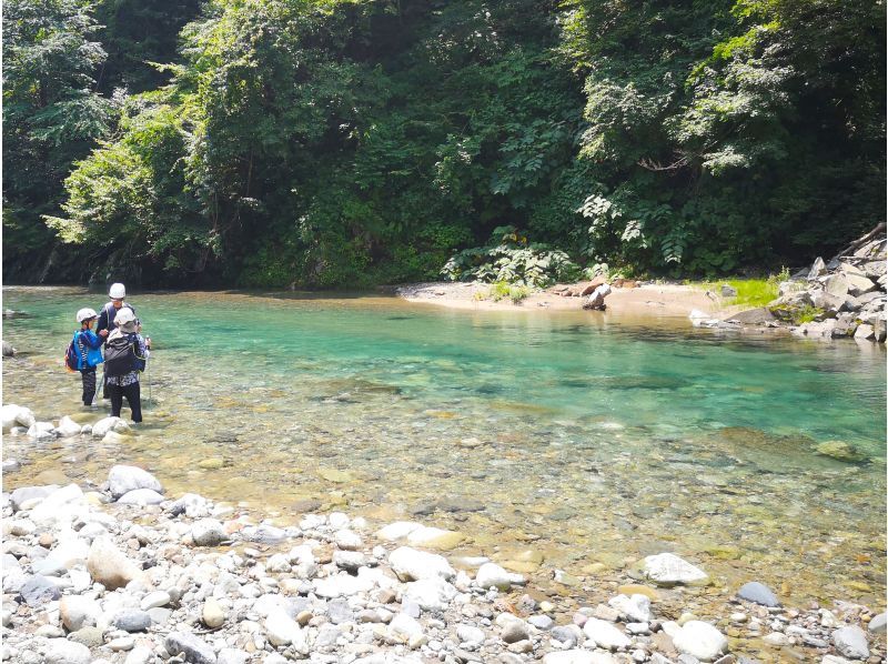[Akita・Shirakami-Sanchi] Shirakami-Sanchi 1-day river trekking - A day of fun for adults and children alike in the clear stream ♪ For beginners <Free photo data>の紹介画像