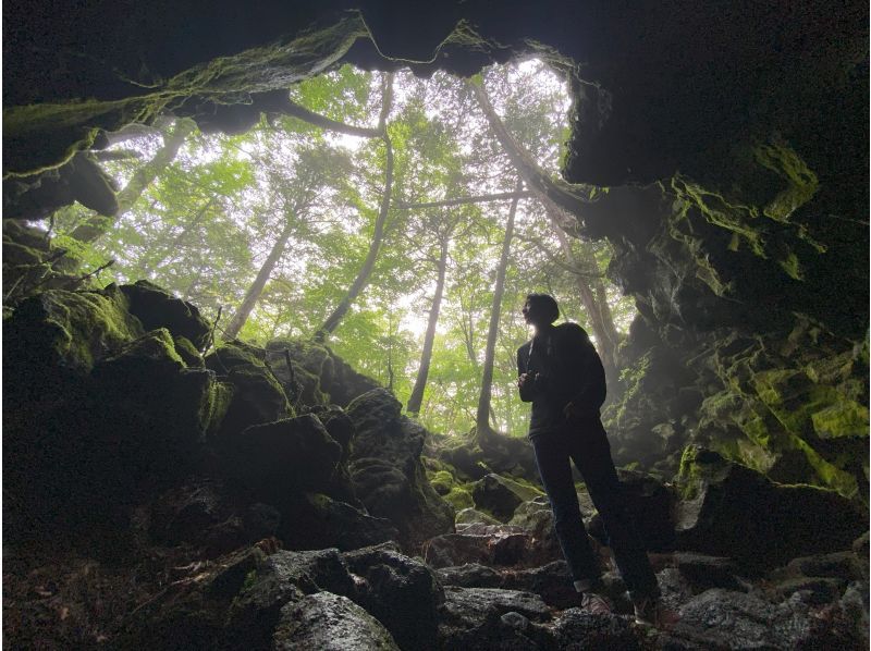 "Fuji Outdoor Base" A man enjoying a forest trekking tour near Mount Fuji