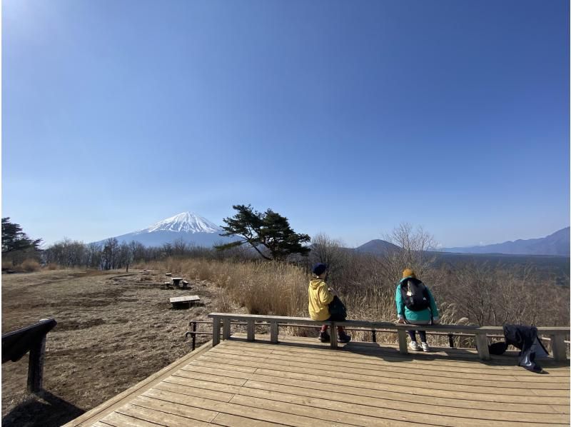 【山梨・富士河口湖町】富士山と樹海の絶景を気軽に楽しめるトレッキングツアー(カップル・家族・初心者歓迎♪)の紹介画像