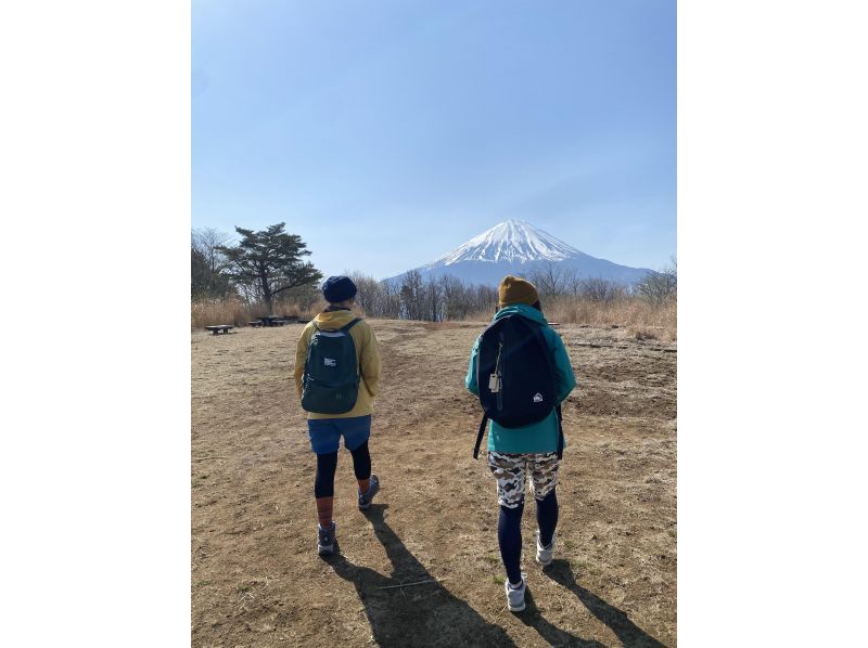 [Yamanashi/Fujikawaguchiko Town] A trekking tour where you can easily enjoy the spectacular view of Mt. Fuji and the sea of ​​trees (couples, families, and beginners welcome♪)の紹介画像