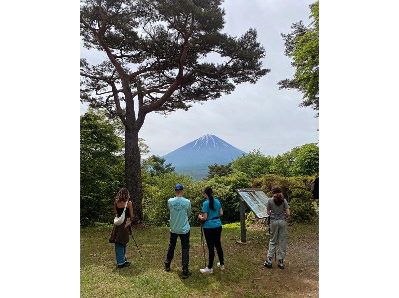 [Yamanashi/Fujikawaguchiko Town] A trekking tour where you can easily enjoy the spectacular view of Mt. Fuji and the sea of ​​trees (couples, families, and beginners welcome♪)の紹介画像