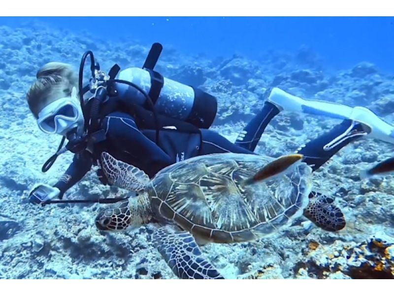 [Okinawa, Ishigaki Island] No license required! Meet manta rays and sea turtles with a trial dive (1 DIVE and snorkel included)の紹介画像