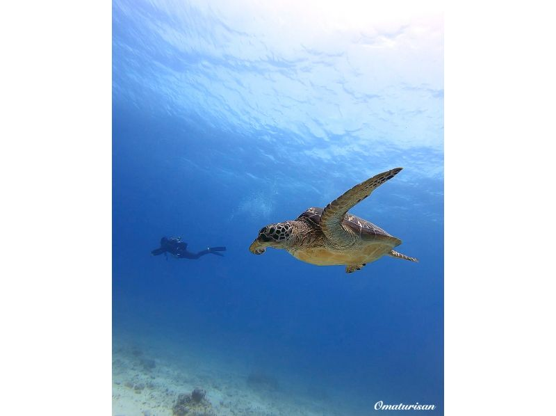[Okinawa, Ishigaki Island] Spring Sale! Meet manta rays and sea turtles with a trial dive (1 DIVE and snorkel included) Free photo data gift!の紹介画像
