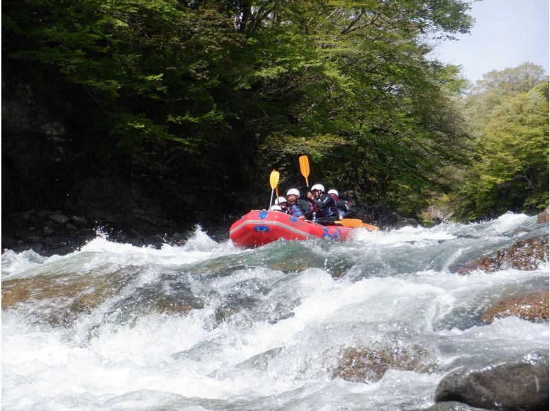 [Gunma/Minakami/Half day rafting 3 hours] Spring sale underway! Group discount plan (7 people or more)★Equipment rental/station hotel pick-up and drop-off free★Student discount availableの紹介画像