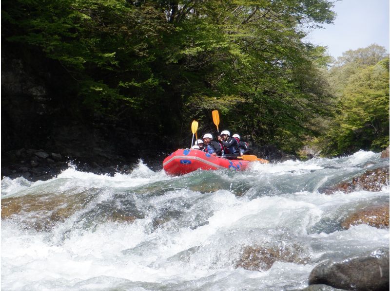 [Gunma/Minakami/Half-day rafting 3 hours] Group discount plan  Free equipment rental