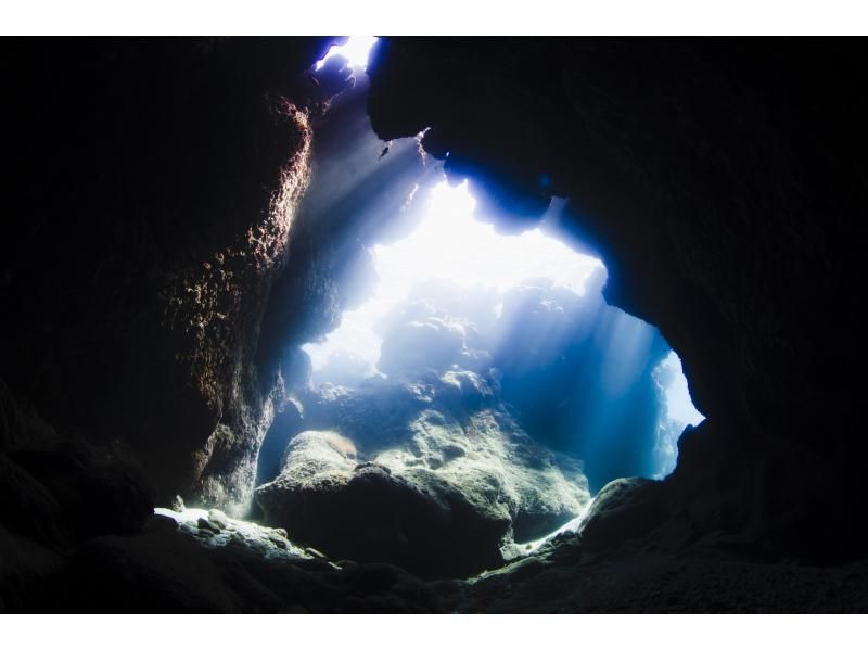 Even if you're alone, you can enjoy fun diving in Kerama Islands. Equipment transfers included.  の紹介画像