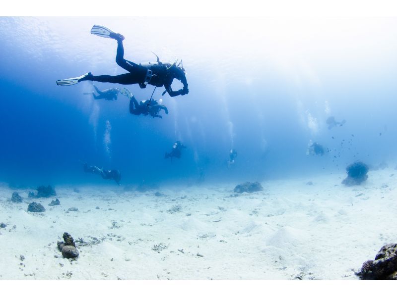 Even if you're alone, you can enjoy fun diving in Kerama Islands. Equipment transfers included.  の紹介画像