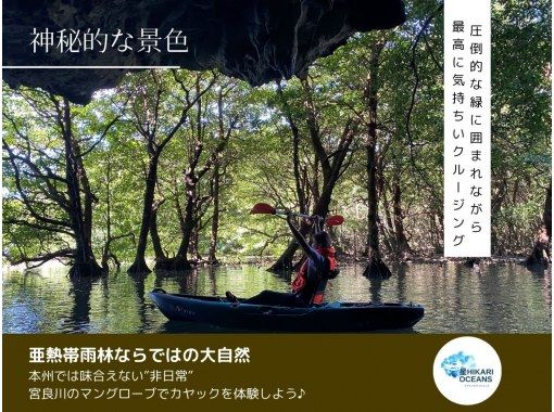 【石垣島・宮良川】人気スポットでマングローブカヤック!◆超快適背もたれ付&安心の少人数制◆【グループ割有り】【撮影データプレゼント】 【石垣島・宮良川】人気スポットでマングローブカヤック!◆超快適背もたれ付&安心の少人数制◆【グループ割有り】【撮影データプレゼント】