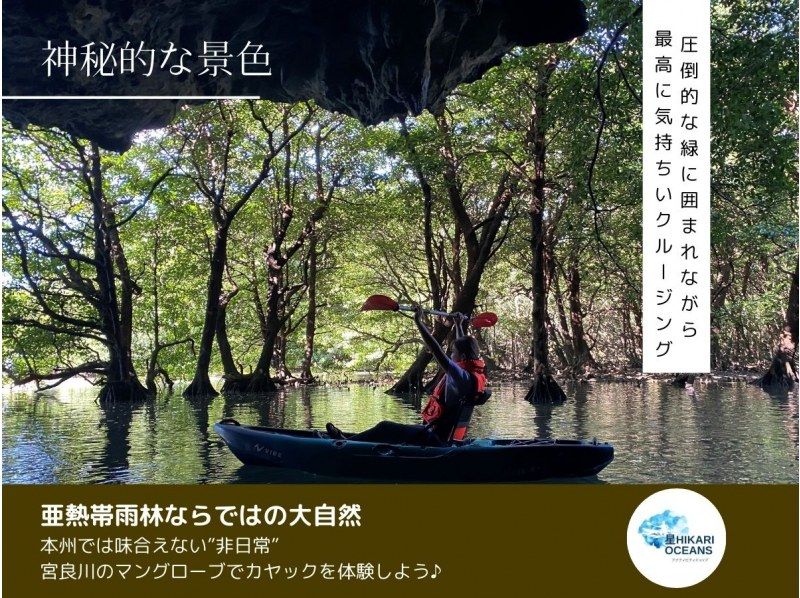 【石垣島・宮良川】人気スポットでマングローブカヤック！◆超快適背もたれ付＆安心の少人数制◆【グループ割有り】【撮影データプレゼント】の紹介画像