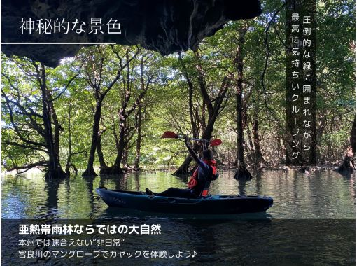 【宮良川・島人ガイド】マングローブカヤック体験!◆超快適背もたれ付&安心の少人数制◆【グループ割有り】【撮影データプレゼント】 【宮良川・島人ガイド】マングローブカヤック体験!◆超快適背もたれ付&安心の少人数制◆【グループ割有り】【撮影データプレゼント】